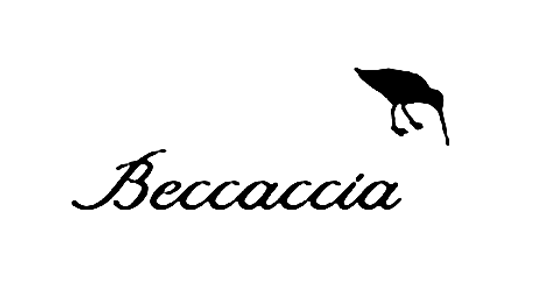 Beccacia
